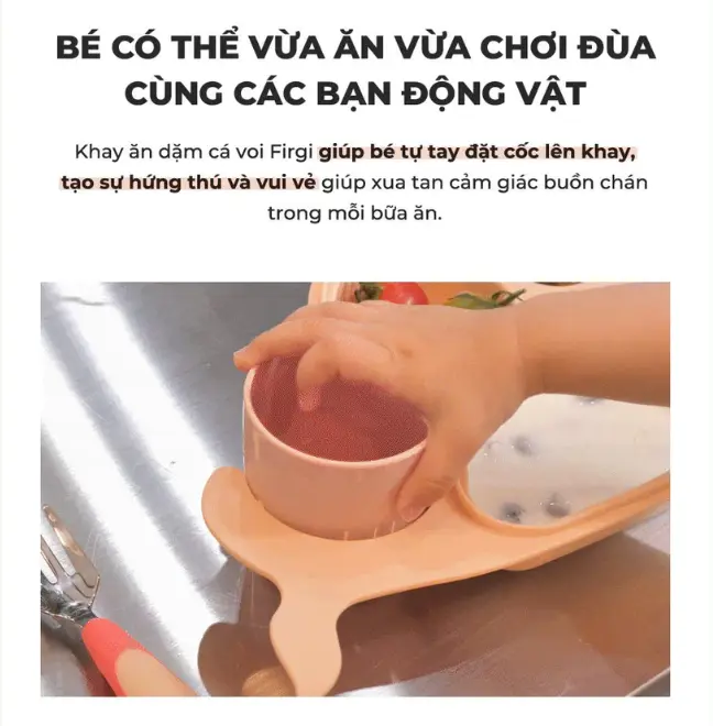 khay cv 4.webp