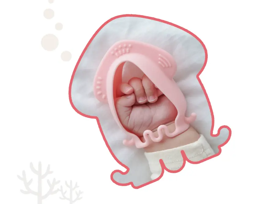 Squid Chew Toy (with Case)